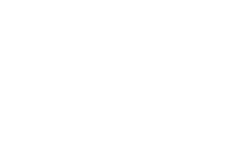 Cadique - Klant logo Bosch